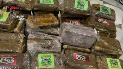 Arpino di Casoria, 60 hashish e marijuana in casa: droga anche in frigorifero