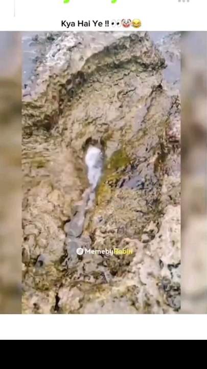 this is oil water