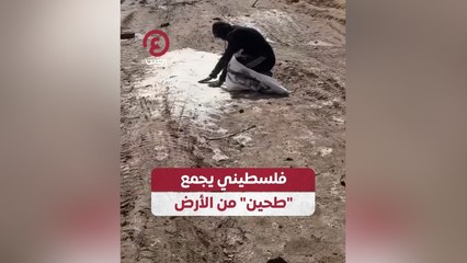 Descargar video: فلسطيني يجمع طحين من الأرض