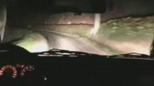 Rallye du Pays du Gier 2008 - ES10