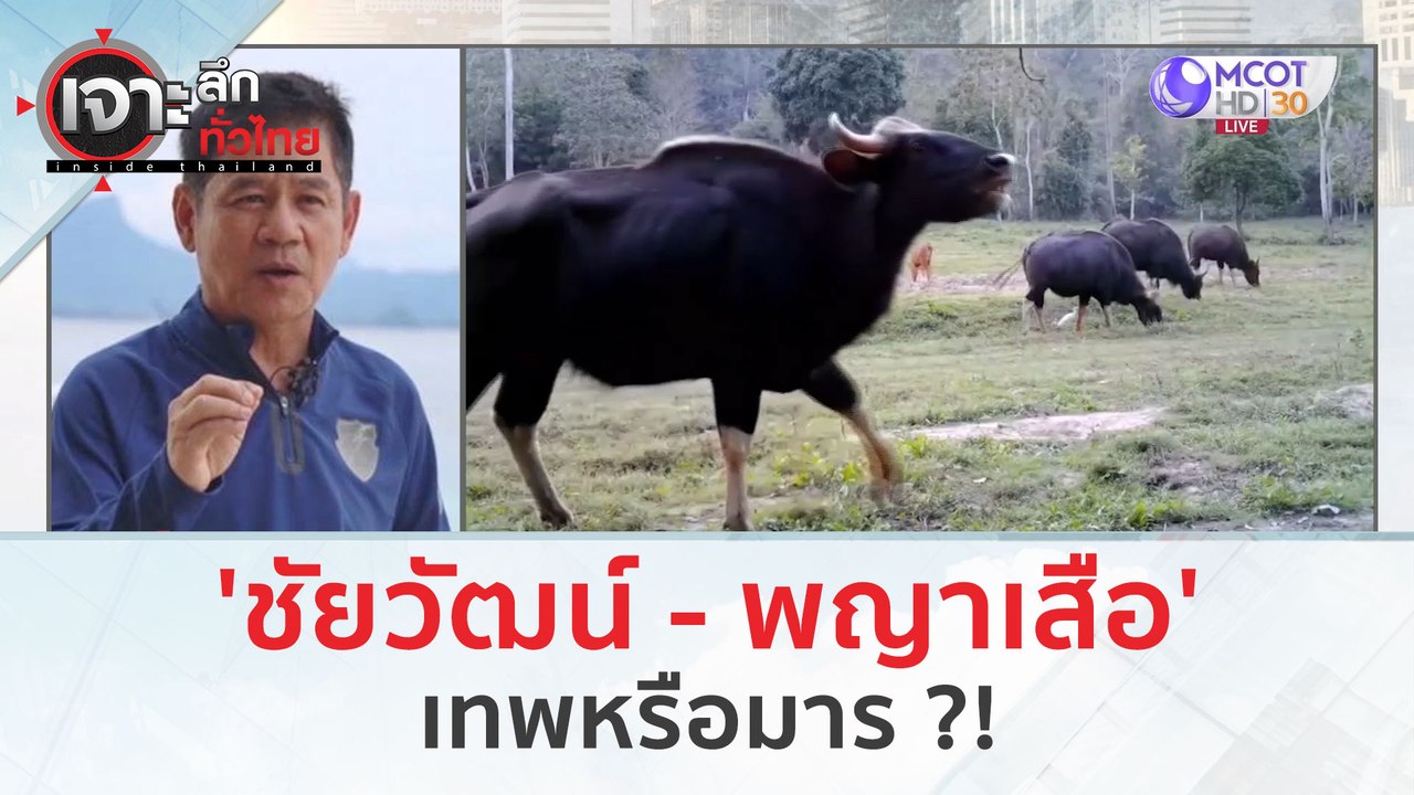 'ชัยวัฒน์ - พญาเสือ'...เทพหรือมาร ?!  (20 ก.พ. 67) | เจาะลึกทั่วไทย