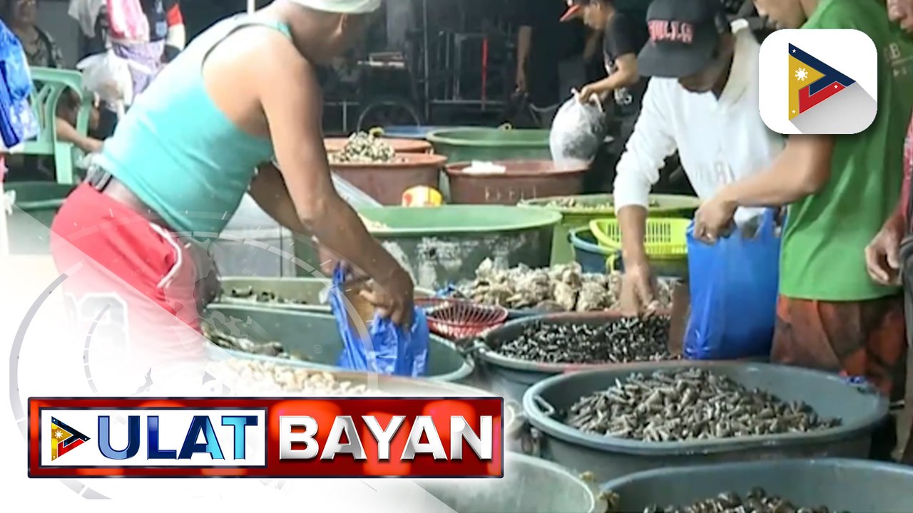 Presyo ng mga shellfish, pinangangambahang tataas dahil sa epekto ng El Niño