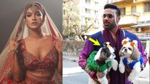 Divya Agarwal Husband Apurva का Pet Dogs के साथ Dulha Look Entry, Baraati Welcome Video..