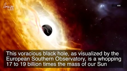 The Supermassive Black at the Center of a Quasar Galaxy Eats a Sun’s-Worth of Mass Every Day