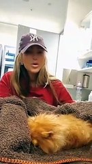 Seren Serengil'in pomeranian cinsi köpeği 'Noynoy' öldü