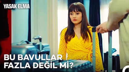 Zerrin'in Kayınvalidelik Denemeleri - Yasak Elma 42. Bölüm