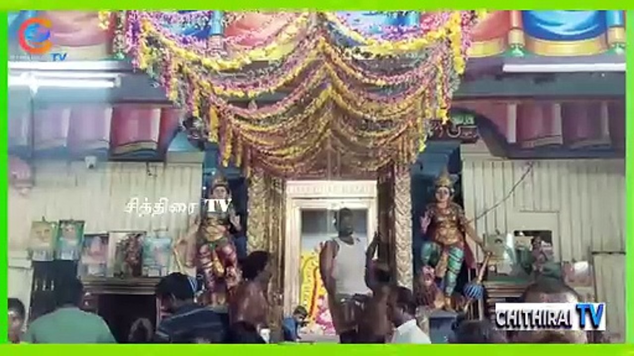 #cithiraitv #மயிலாடுதுறை தீப்பாய்ந்தாள் அம்மன் கோயில் 132-ஆம் ஆண்டு தீமிதி உற்சவம் |