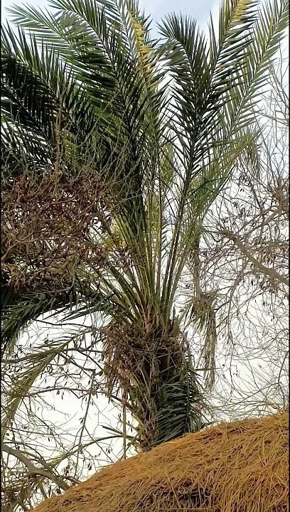 video_20240218_164457~2