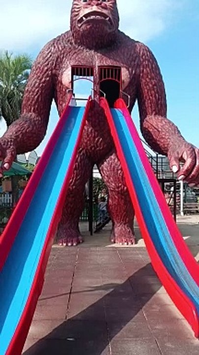 King Kong gigante de Catalunya plants