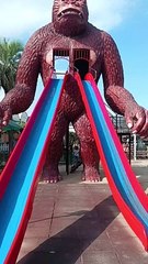 King Kong gigante de Catalunya plants