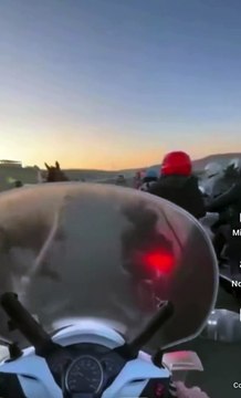 Corse clandestine di cavalli e colpi d'arma da fuoco a Catania, la denuncia del deputato La Vardera