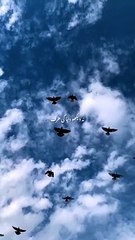 Chor do duniya ko  #Islamic Videos # Viral Islamic Videos #Islamic Treasures