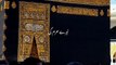 Tere haram ki kya baat Moula   #Islamic Videos # Viral Islamic Videos #Islamic Treasures