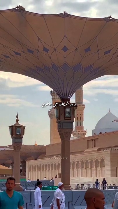 Sarkar qadmon mein bulayein   #Islamic Videos # Viral Islamic Videos #Islamic Treasures