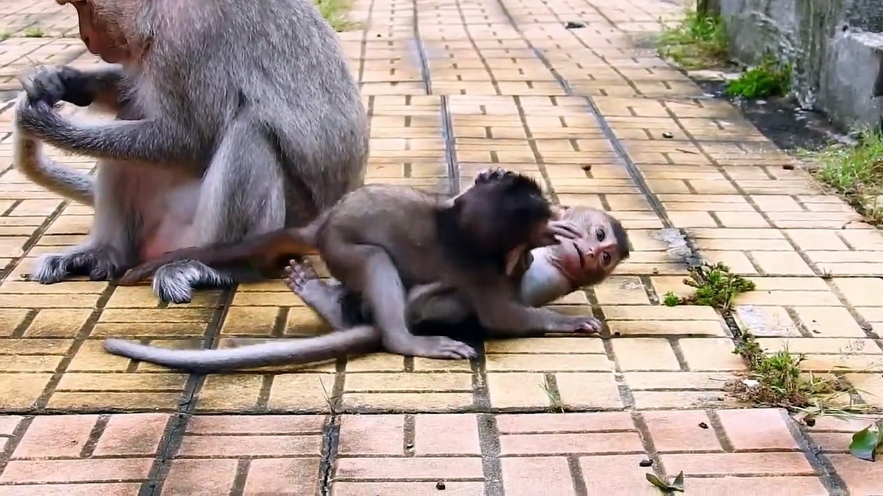 Sweet Babies Monika and Ramos Roll Play With Super Action (720p_25fps_H264-192kbit_AAC)