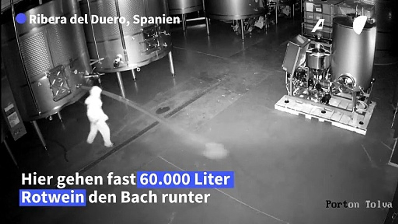 Vandalismus: Fast 60.000 Liter Spitzenwein vernichtet