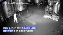 Vandalismus: Fast 60.000 Liter Spitzenwein vernichtet