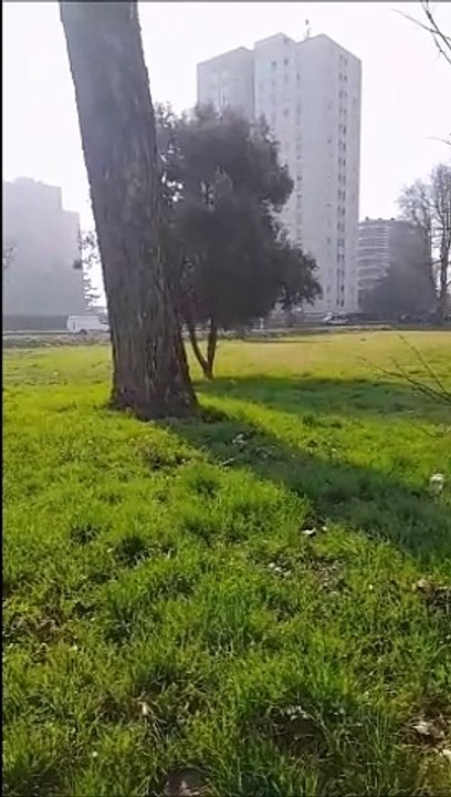 Milano, incendio in un grattacielo di via Vincenzo Da Seregno