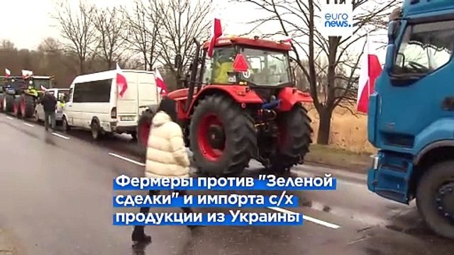 Польские фермеры против украинского зерна — Киев угрожает запретом продукции из Польши
