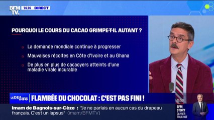 Prix du chocolat: le cours du cacao a augmenté de 142% depuis juillet 2022