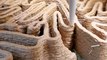 Termite-Inspired Architecture for Sustainable Buildings
