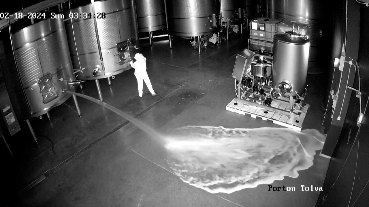 Espagne : 2,5 millions d'euros de vin déversés au sol dans un acte de vandalisme