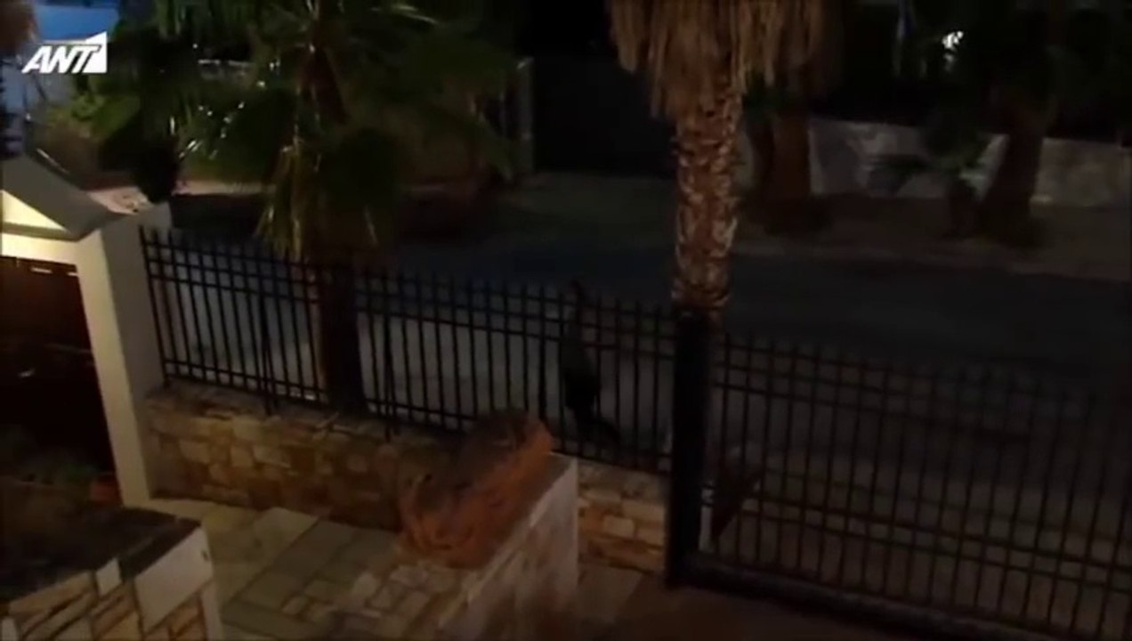 Κάτι χωρισμένα παλικάρια Βιολέτα