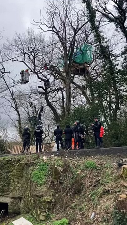 La chasse aux "écureuils" à Saïx dans le Tarn sur le tracé de la future A69 !