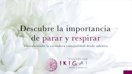  PARA y RESPIRA | Entendiendo la tranquilidad desde adentro