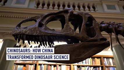 'Chinosaurs': How China transformed dinosaur science