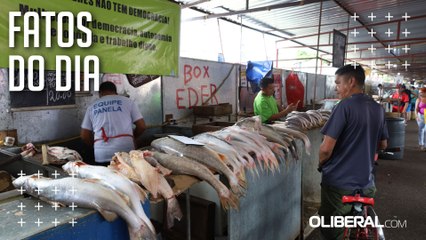 Preço do pescado sobe em Belém com a proximidade da Semana Santa