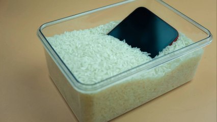 Apple Urges Users to Stop Using Rice to Dry Wet iPhones 🚫