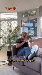 Whoopee Cushion Symphony in a Silent Library!