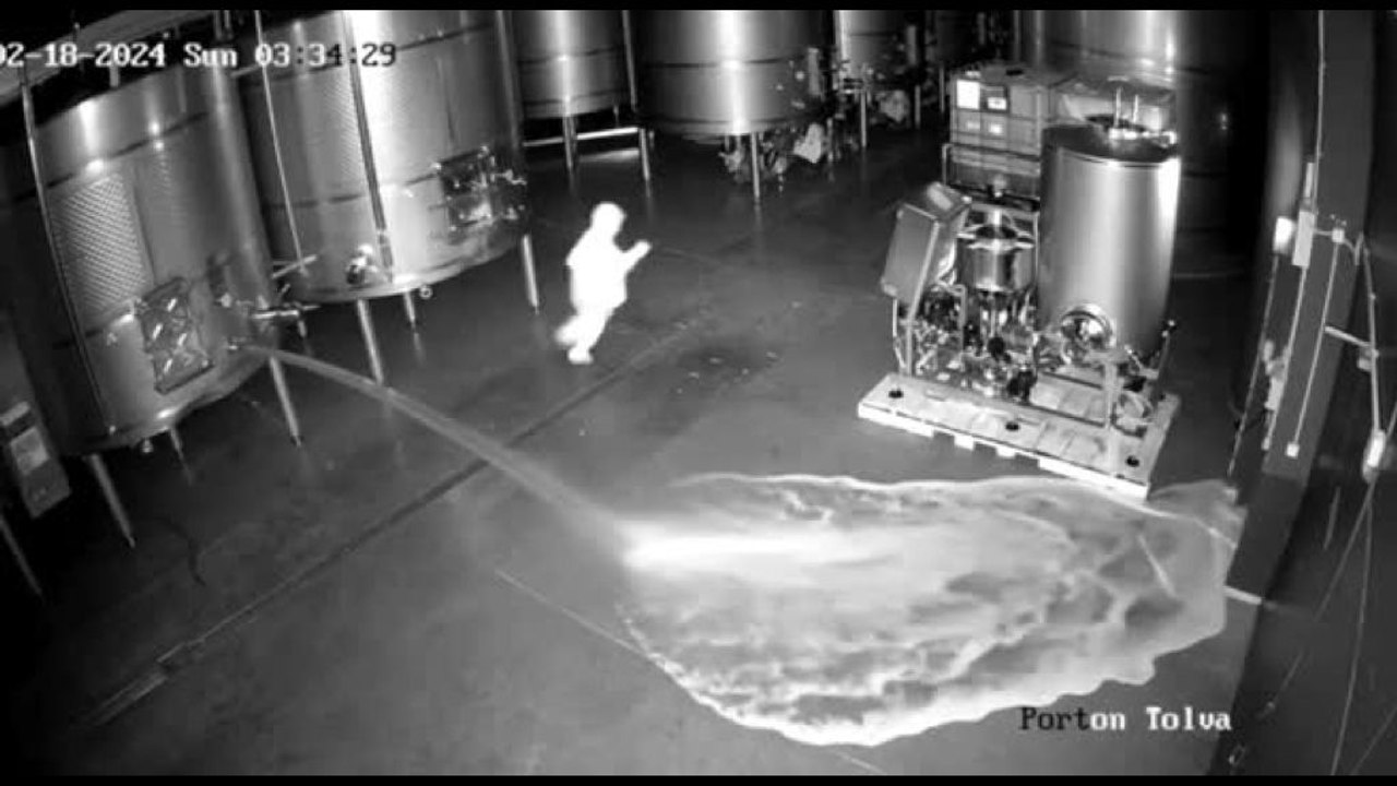 Spagna, sabotatore versa 60.000 litri di vino pregiato RIbera del Duero