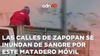 Las calles de Zapopan se inundan de sangre por este matadero móvil en el que asesinan animales