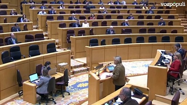 Ministro fracasado : rifirrafe entre Blanco (PP) y Marlaska en el Senado