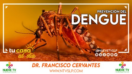 Consejos Esenciales para Prevenir el Dengue y Proteger tu Salud 🦟