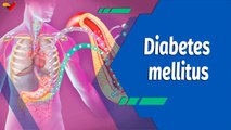 Actitud Saludable | Conozca las características y los síntomas de la diabetes mellitus