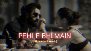 Pehle Bhi Main | Animal Song | No Copyright Song ❤️