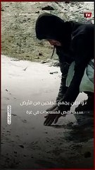 مواطن يجمع الطحين من الأرض بسبب نقص المساعدات الإنسانية في غزة
