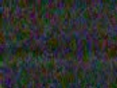 Agression raciste par le Betar ou la LDJ-Radio