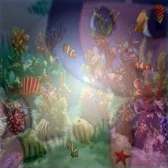 Dora The Explorer S03E11 Por Favor