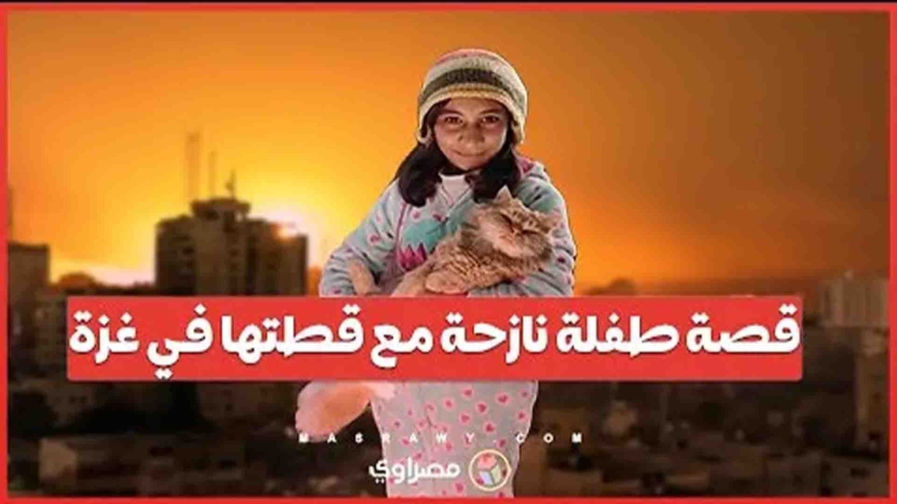 _لما طلعت ما أخدت غيرها_.. قصة طفلة نازحة مع قطتها خلال العدوان المستمر على قطاع غزة