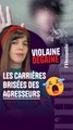 Violaine Dégaine -  Les carrières brisées des agresseurs