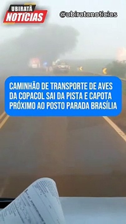Caminhão de aves tomba na BR 369 na região de Goioerê 