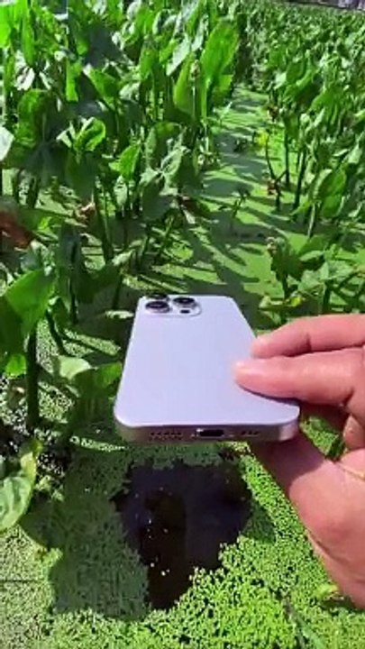 iPhone Camera  Editing like A WoW 