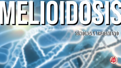 Alerta epidemiológica: ¿Cuáles son los síntomas de la Melioidosis?