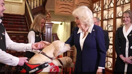 Queen meets medical detection dogs as she calls for greater use in cancer diagnosis