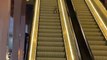 Tired Kitty Goes Wrong Way on Escalator