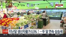 지난달 생산자물가 0.5%↑…두 달 연속 상승세